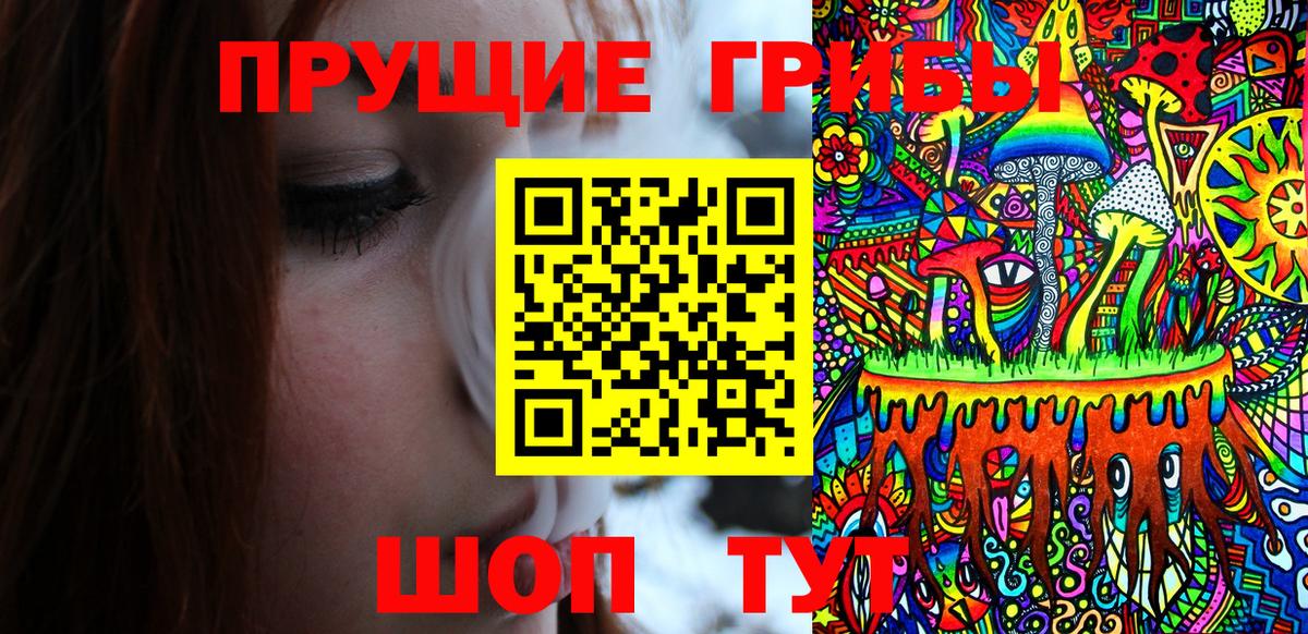 Псилоцибиновые грибы Cubensis Кудрово