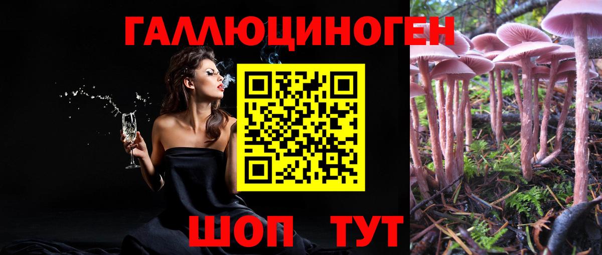Кудрово  Галлюциногенные грибы ЛСД  Вход с VPN  Псилоцибиновые грибы мицелий 